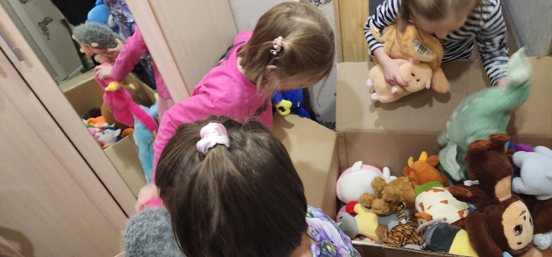 долгопрудный, благодарный шкаф, сбор текстиля, экобокс, благотворительность, игрушки, многодетная мама,