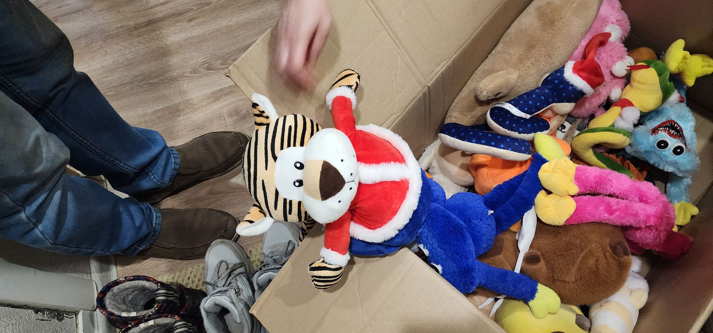 долгопрудный, благодарный шкаф, сбор текстиля, экобокс, благотворительность, игрушки, многодетная мама,