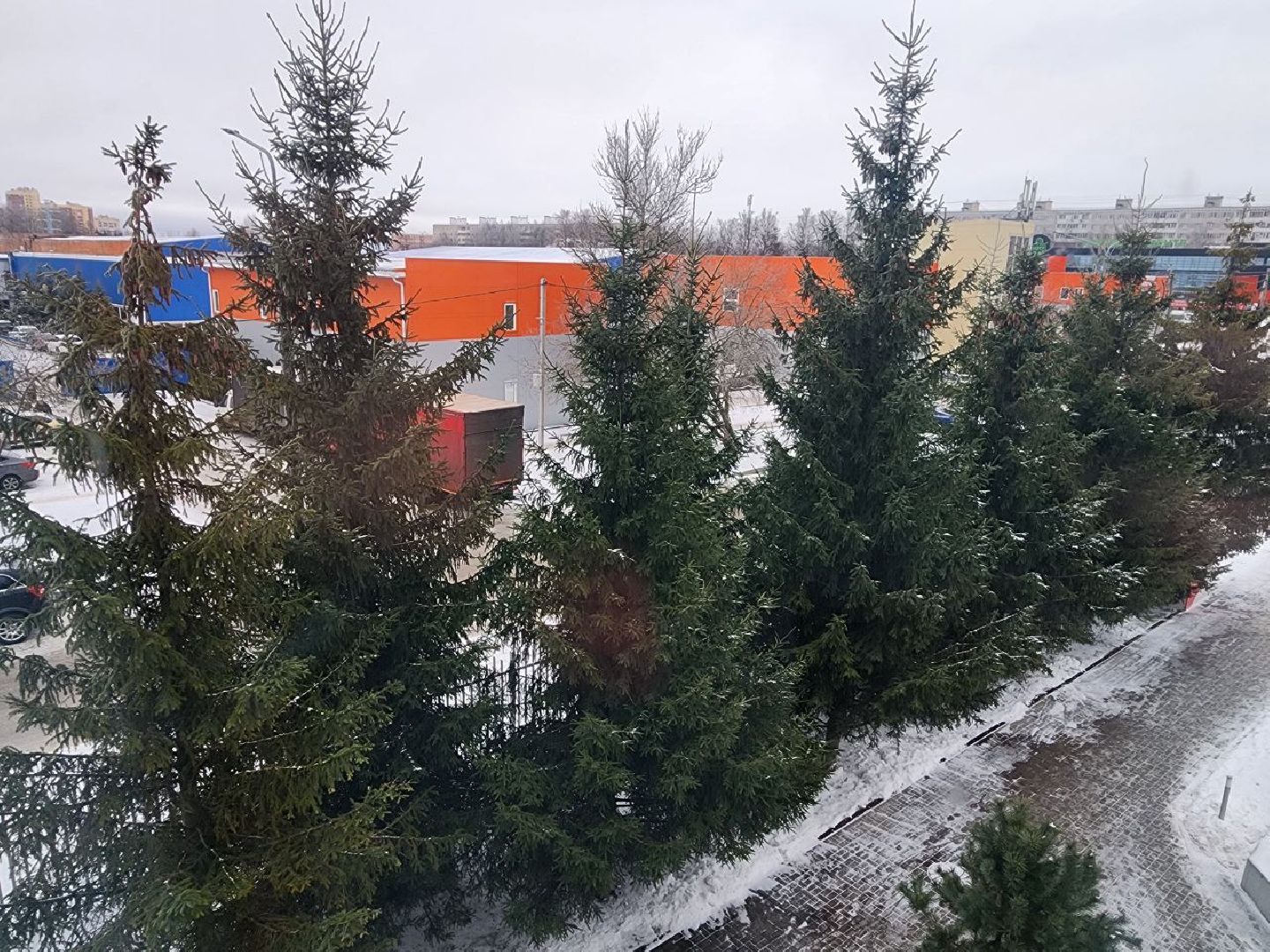 солнечногорск, газпром теплоэнерго, елка желаний, общестао,