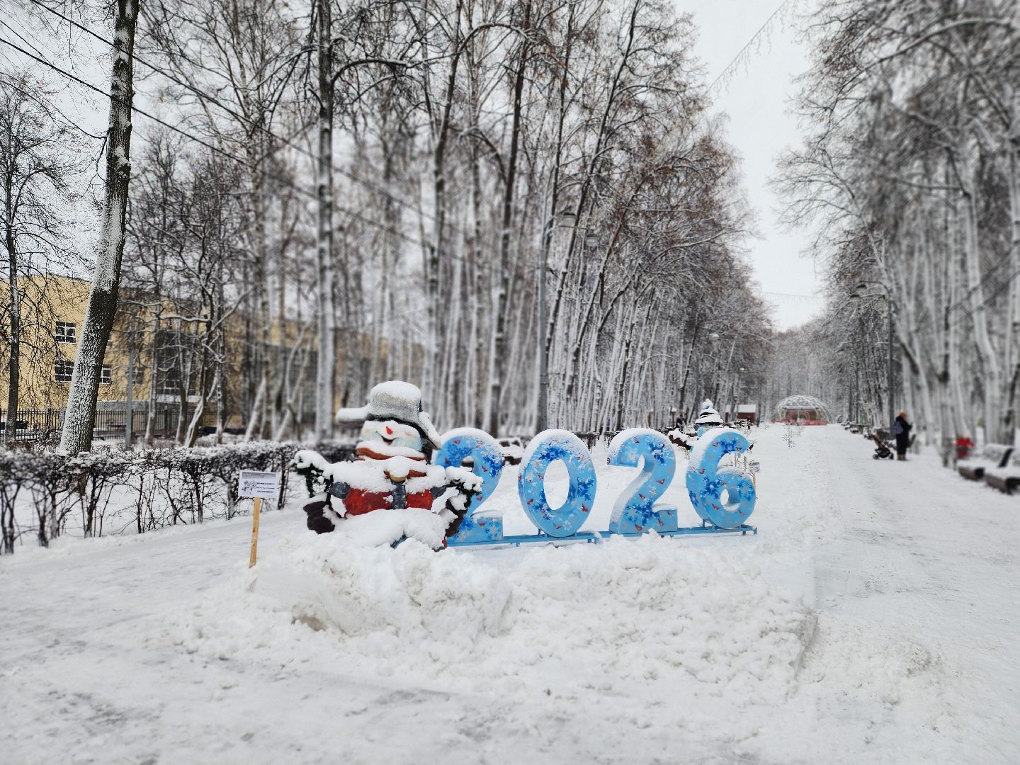 королёв, горзеленхозстрой, уборка снега королев,