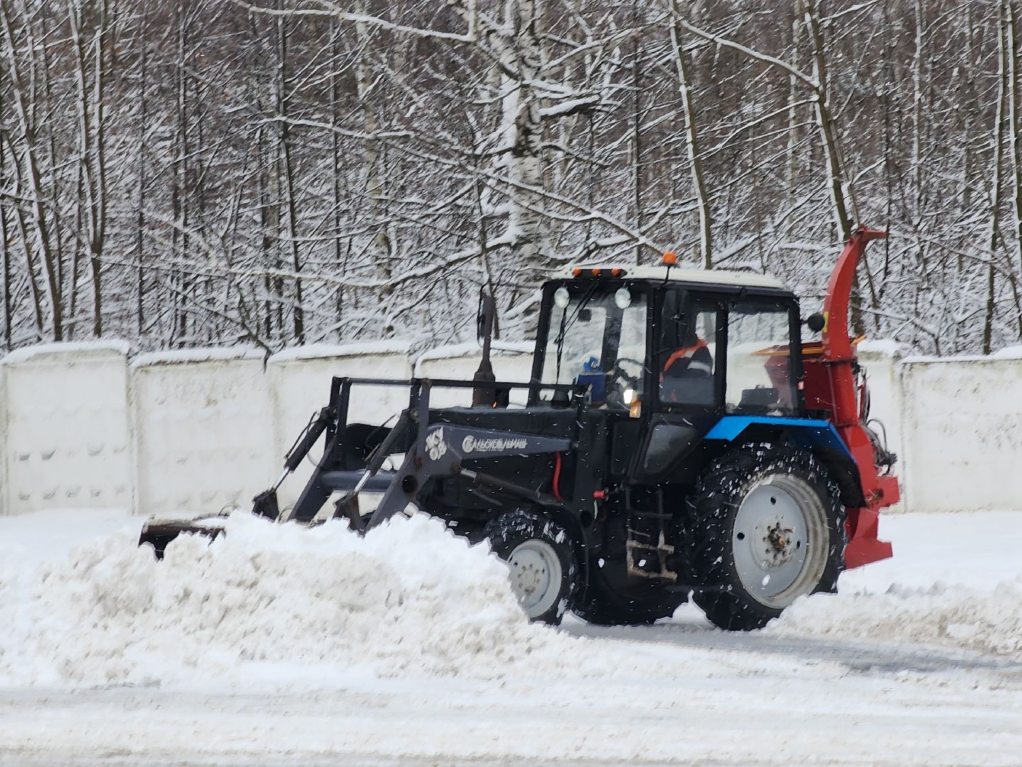 Егорьевск , Подмосковье , Московская область ,