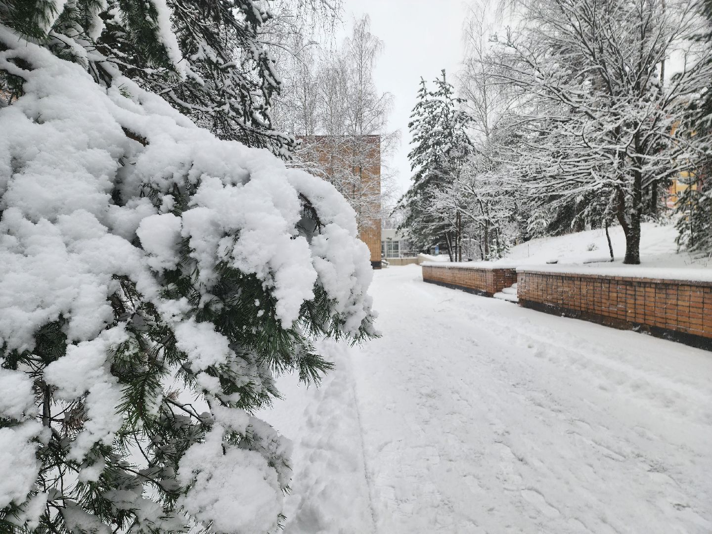 красноармейск, городской округ пушкинский, ликвидация последствий снегопада, уборка снега,