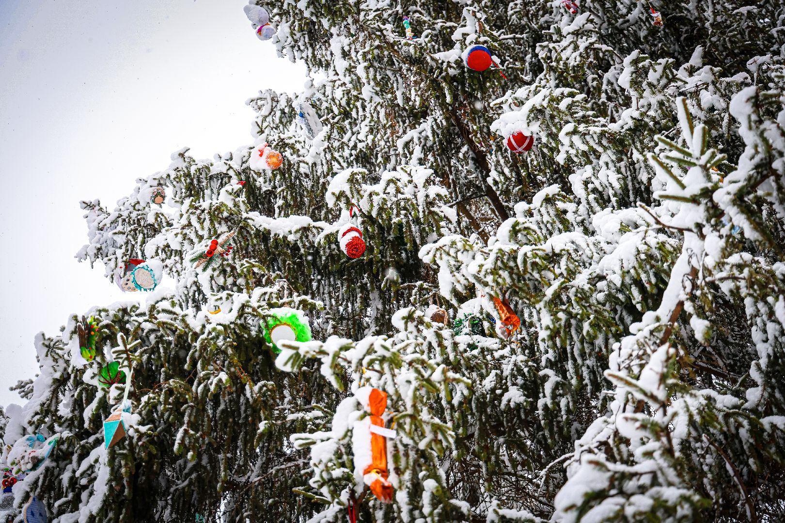 клин, общество, культура, фестивали,