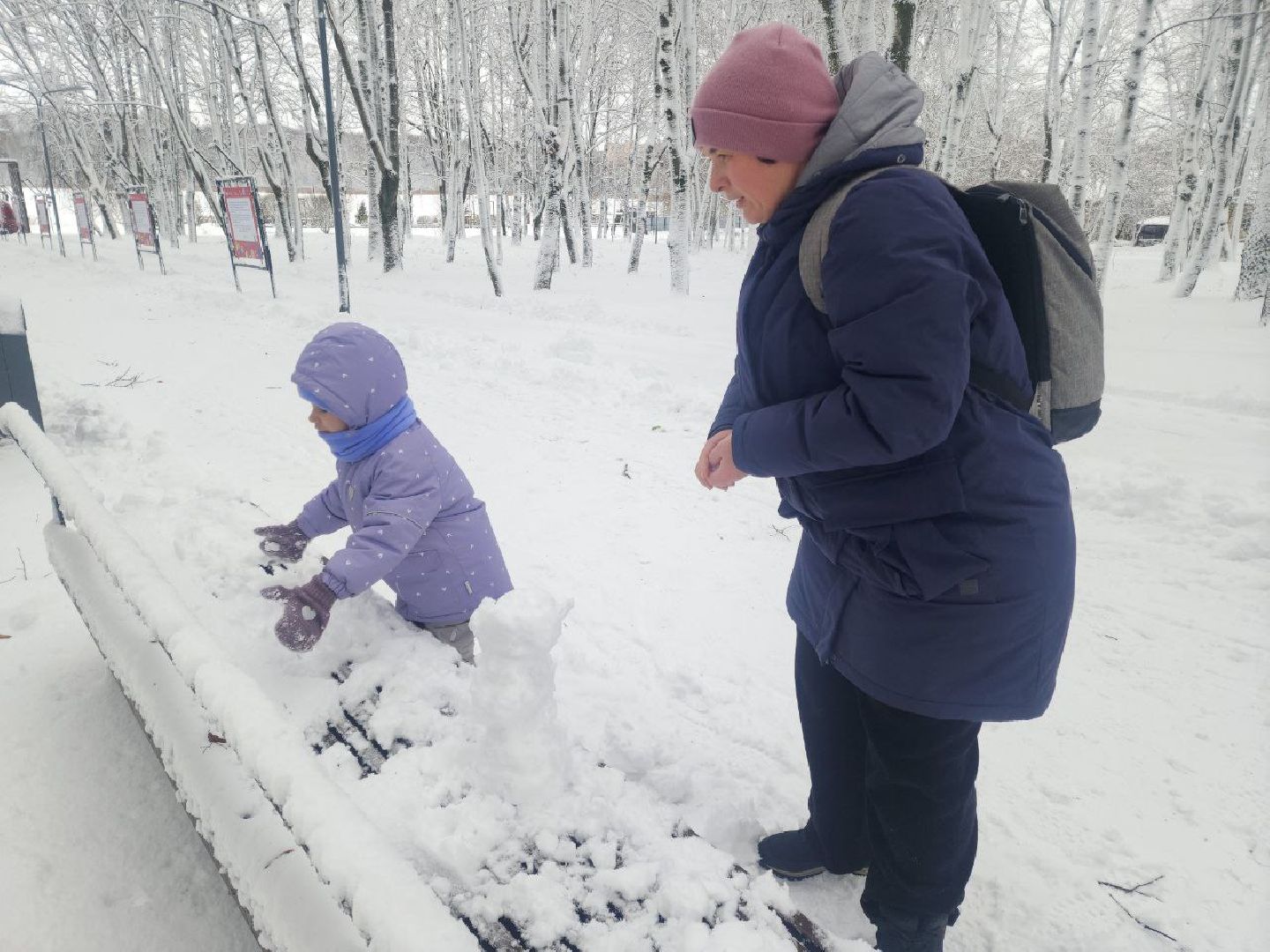 солнечногорск, общество,