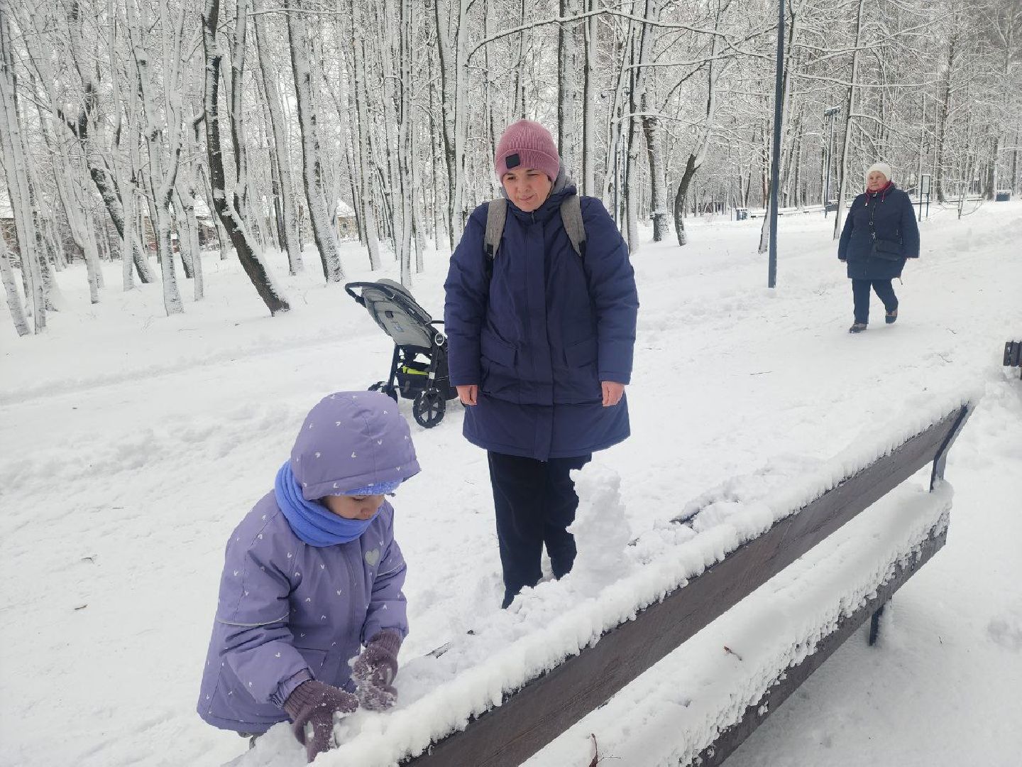 солнечногорск, общество,