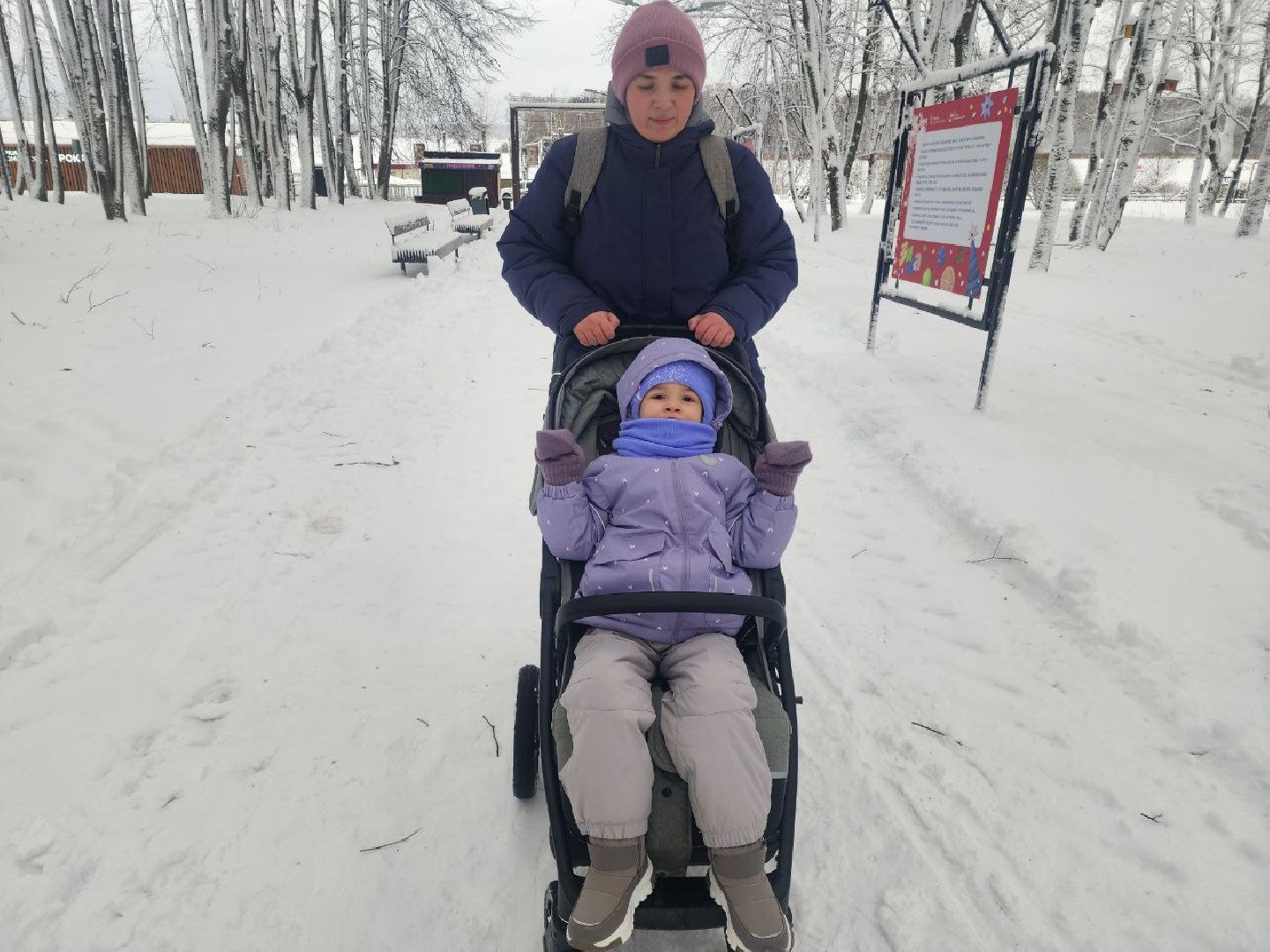 солнечногорск, общество,