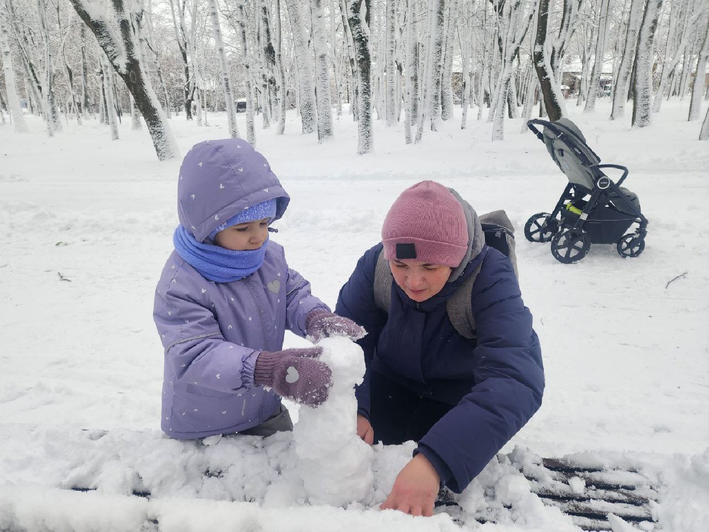 солнечногорск, общество,