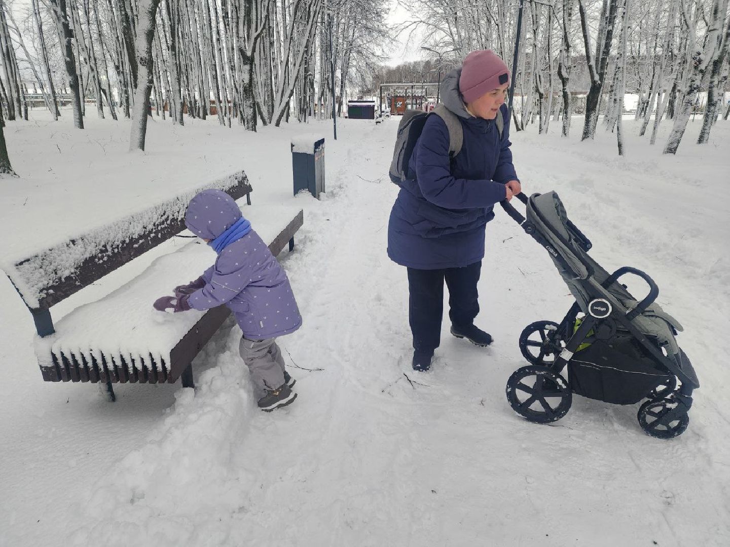 солнечногорск, общество,