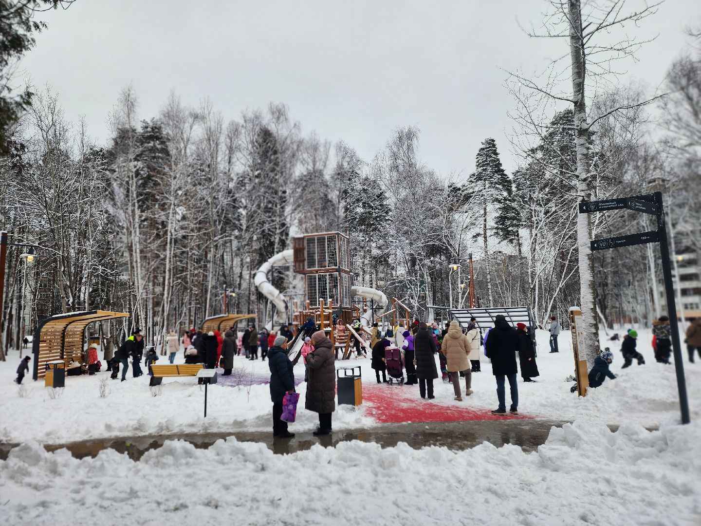 королёв, открытие парка папанинская дача, благоустройство , зима в подмомсковье,