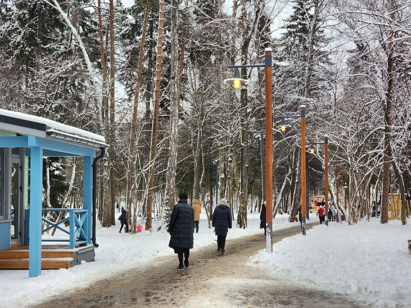 королёв, открытие парка папанинская дача, благоустройство , зима в подмомсковье,