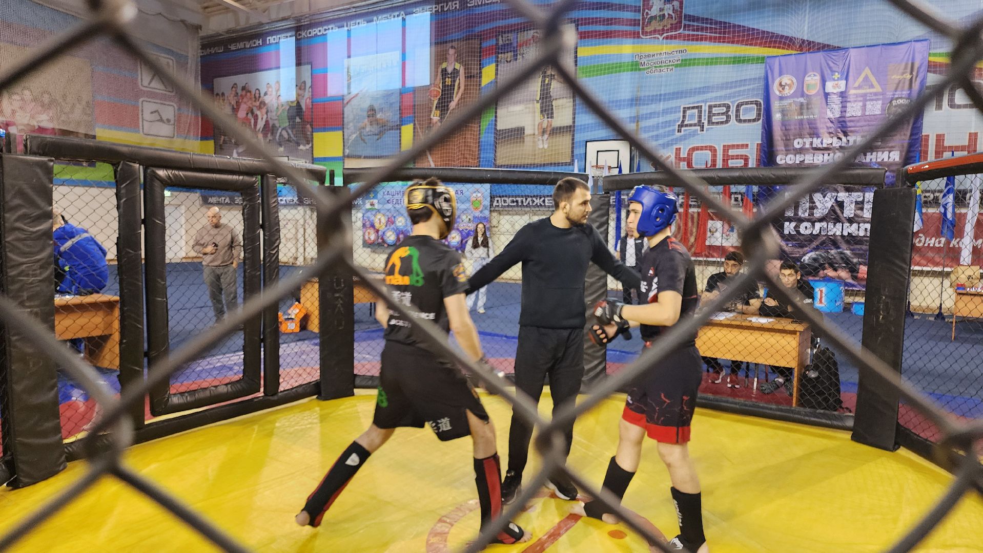 кашира, спорт, мма, смешанные единоборства, соревнования, путь к олимпу,