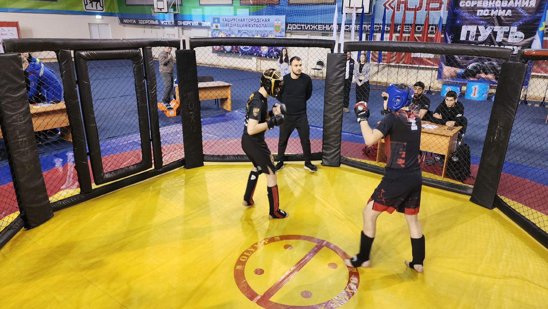 кашира, спорт, мма, смешанные единоборства, соревнования, путь к олимпу,