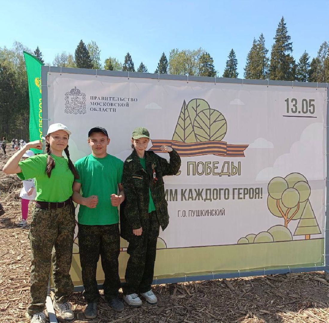 Ступино, Мещерино, Лес Победы, Мособллес