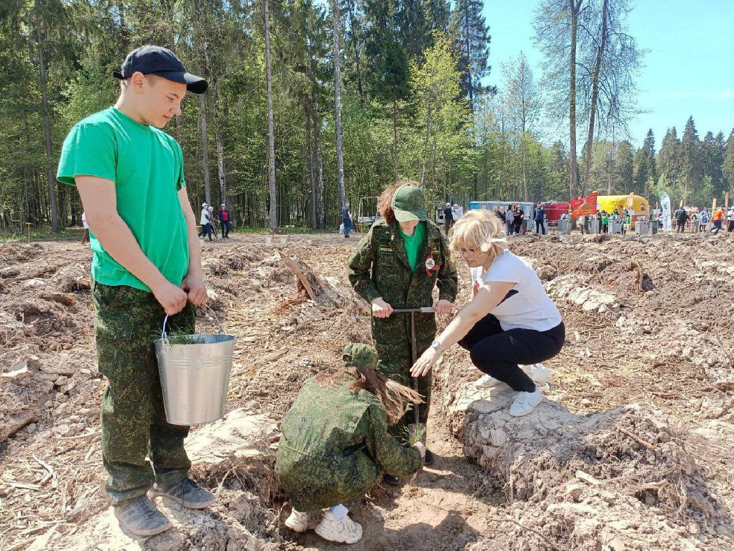 Ступино, Мещерино, Лес Победы, Мособллес