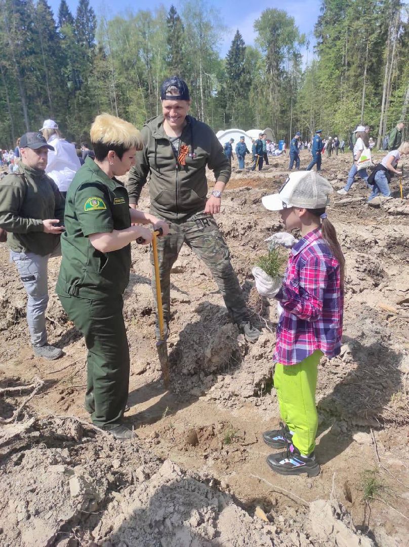 Ступино, Мещерино, Лес Победы, Мособллес
