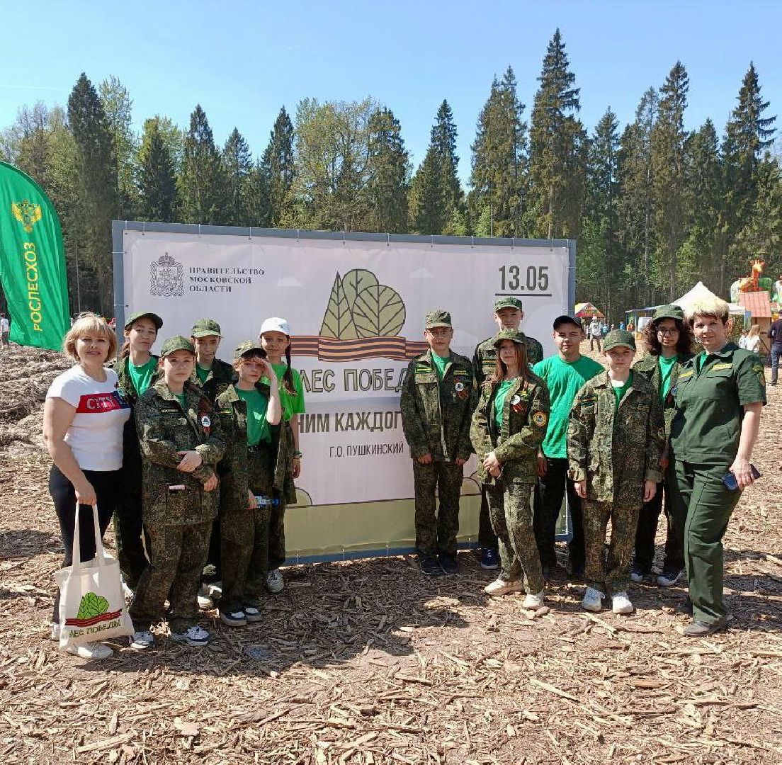 Ступино, Мещерино, Лес Победы, Мособллес