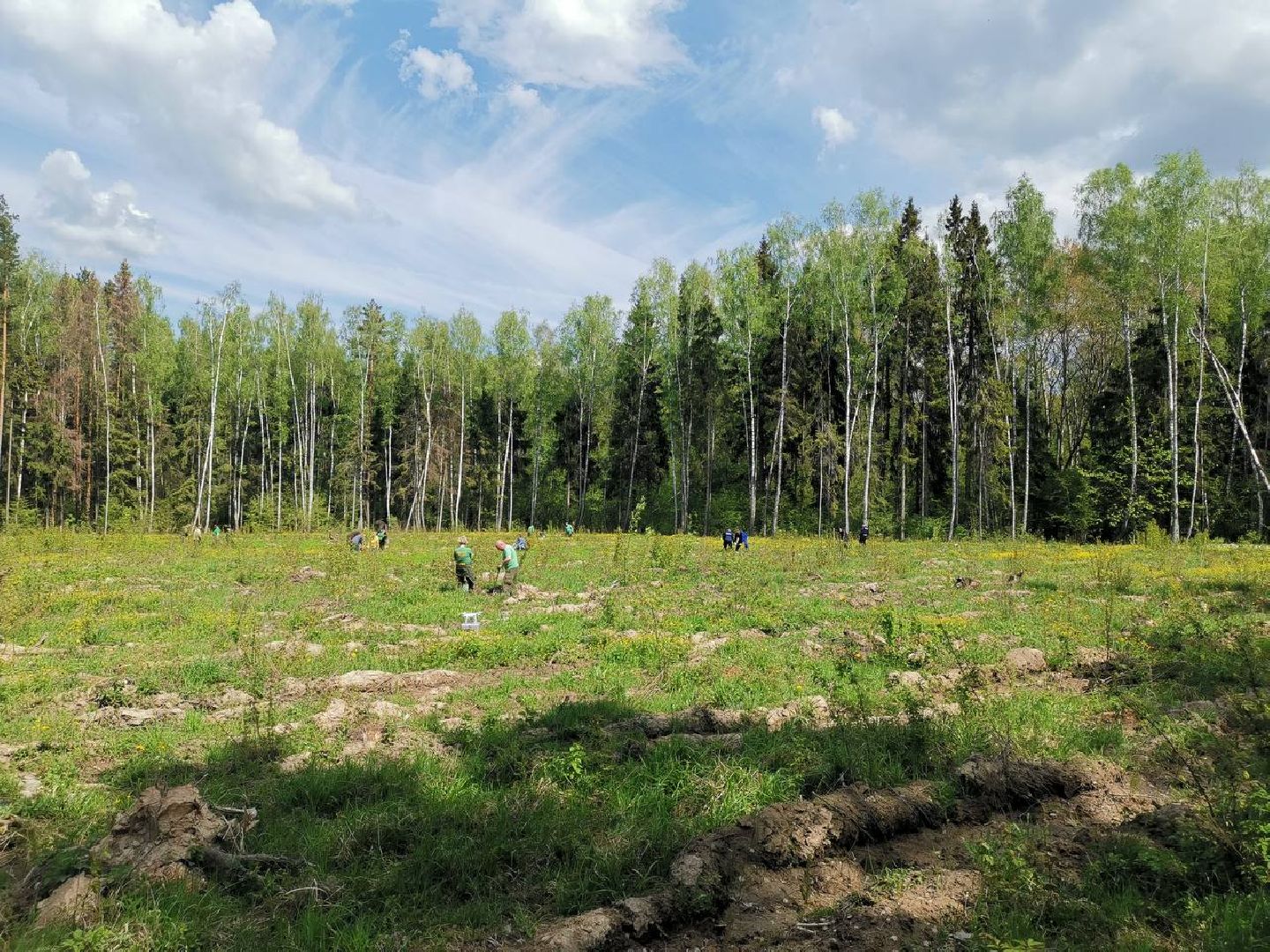 Ступино, Мещерино, Лес Победы, Мособллес
