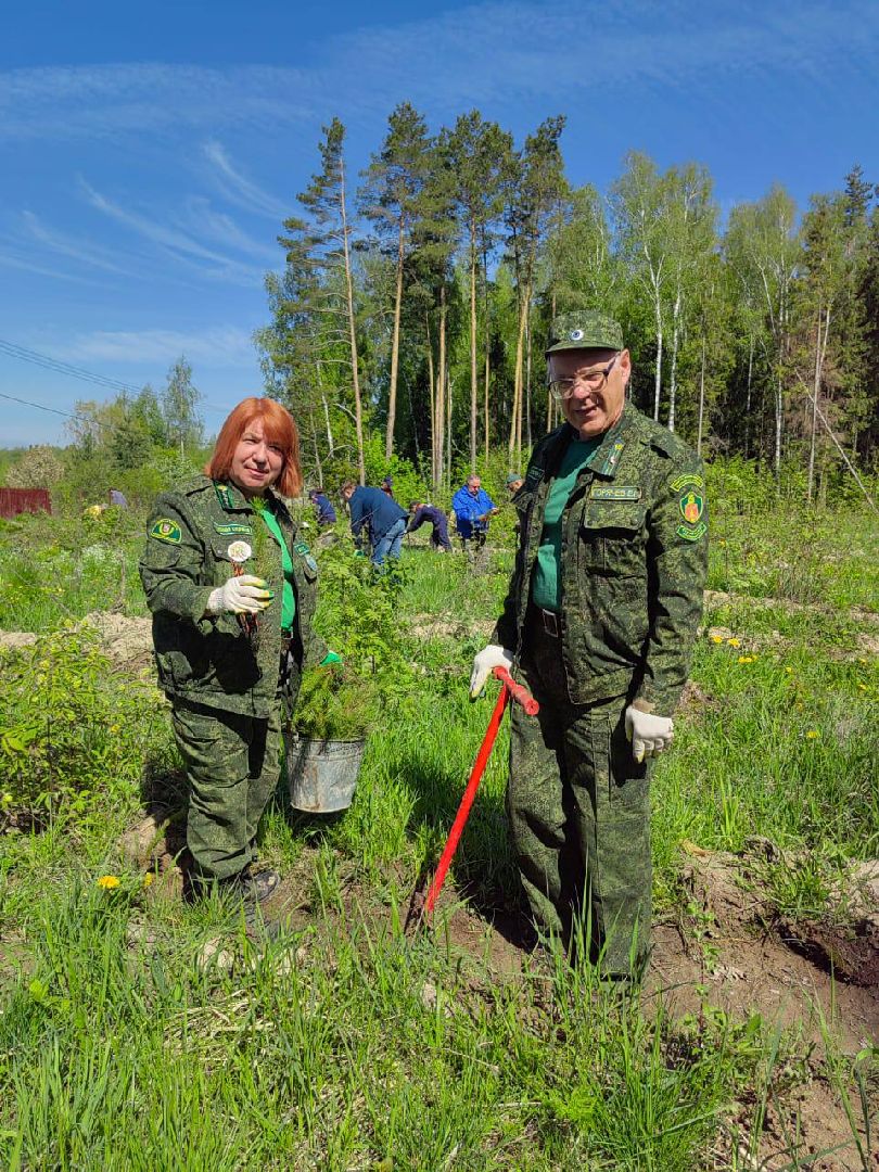 Ступино, Мещерино, Лес Победы, Мособллес