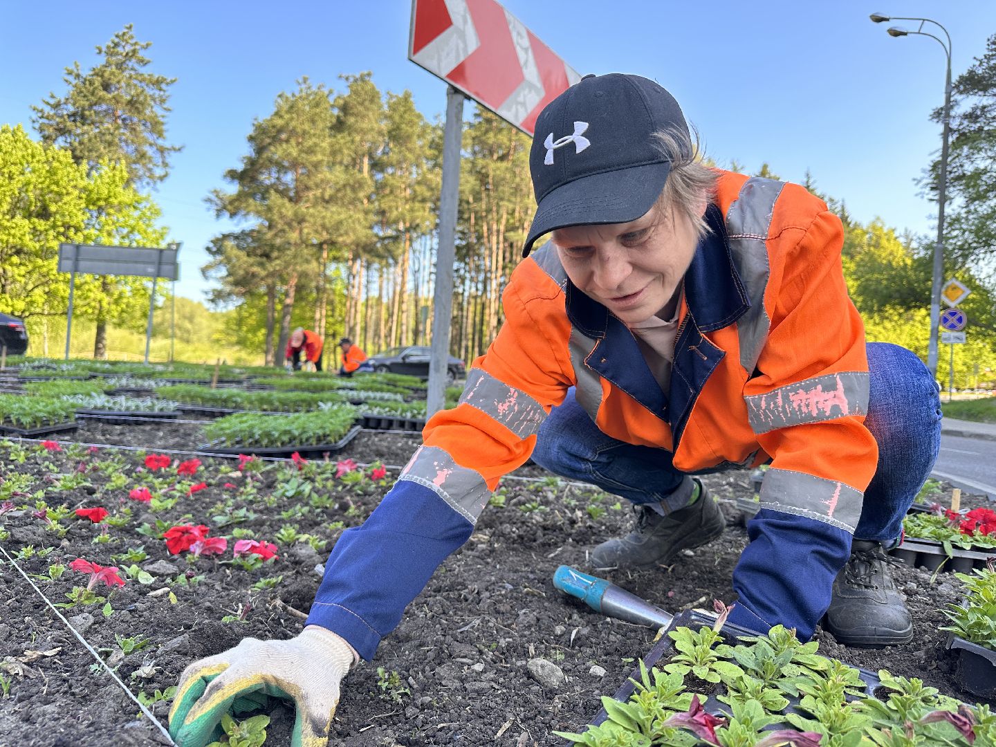 Одинцово, Благоустройство, Цветы, Озеленение