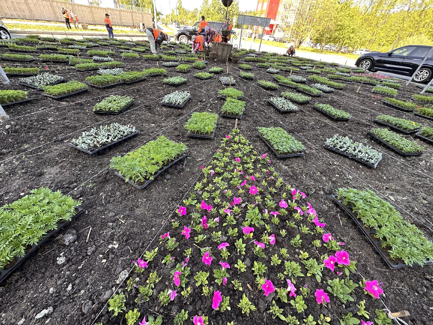 Одинцово, Благоустройство, Цветы, Озеленение