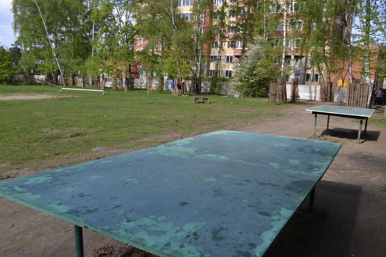 Балашиха, Подмосковье, благоустройство, скверы, Берёзовая роща, роща героев