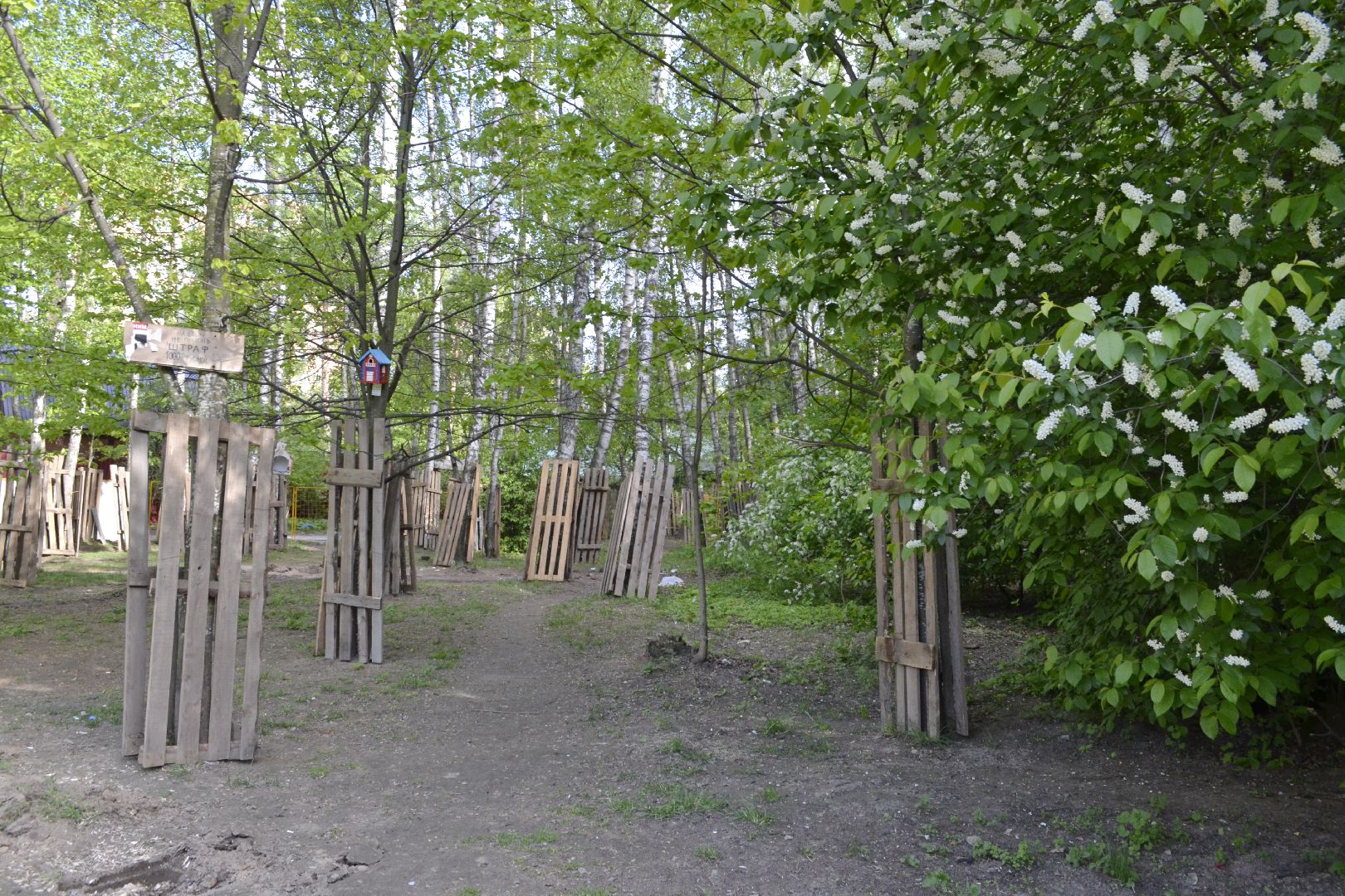 Балашиха, Подмосковье, благоустройство, скверы, Берёзовая роща, роща героев