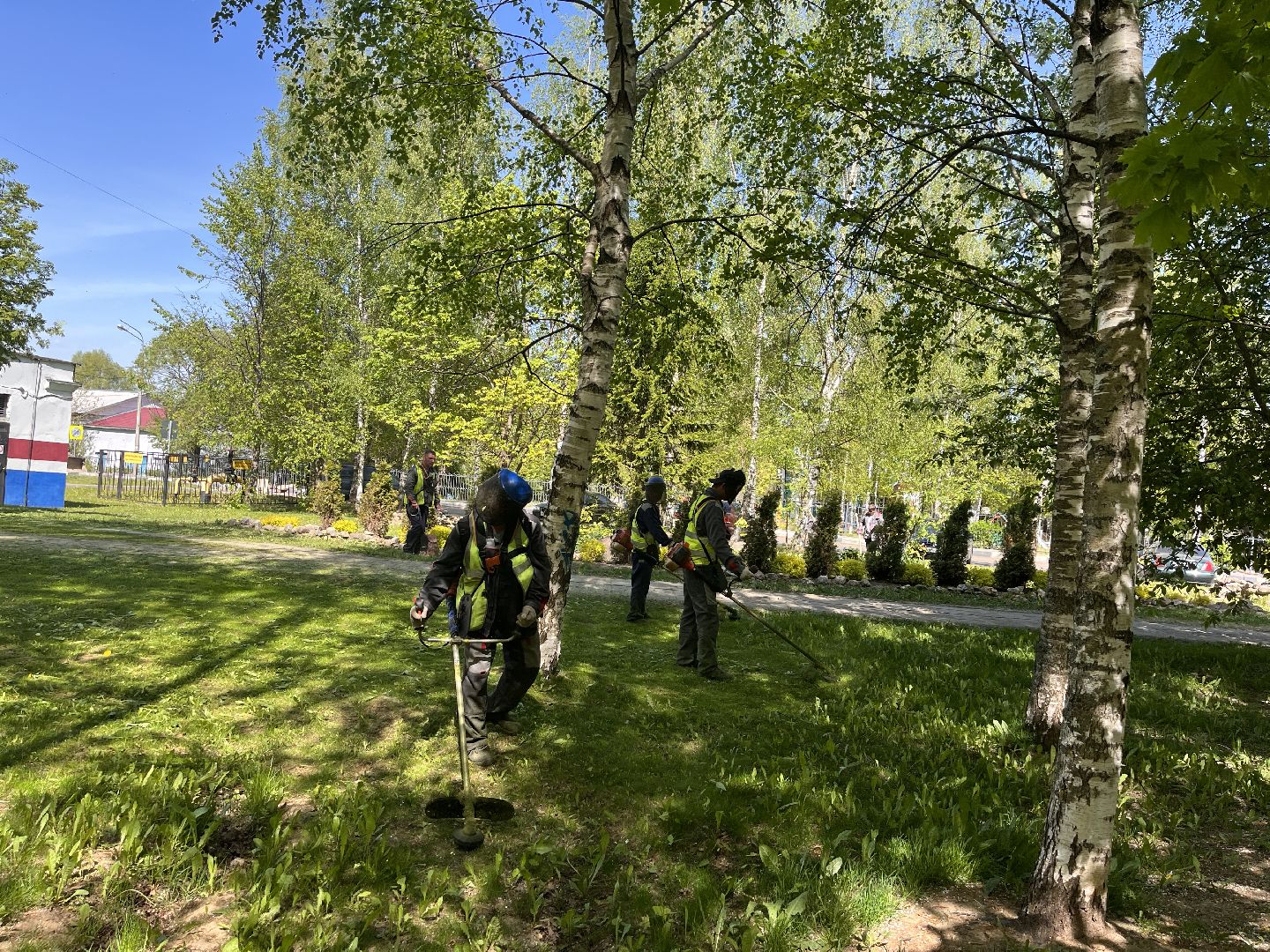 Шаховская, клумбы, покос