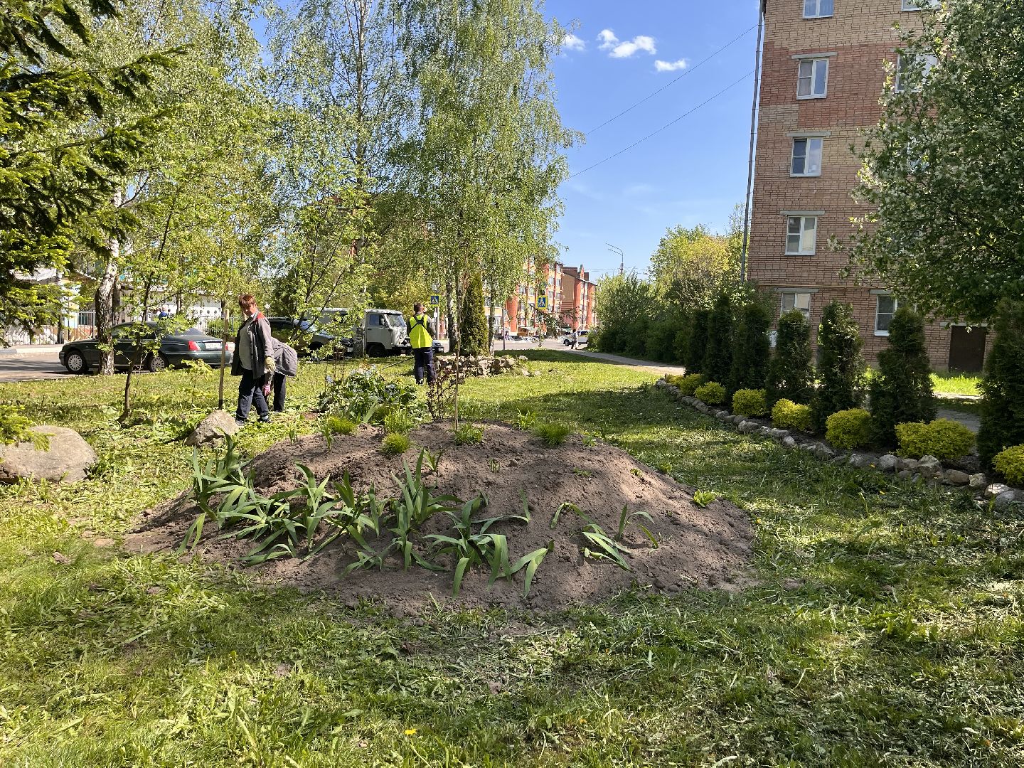 Шаховская, клумбы, покос