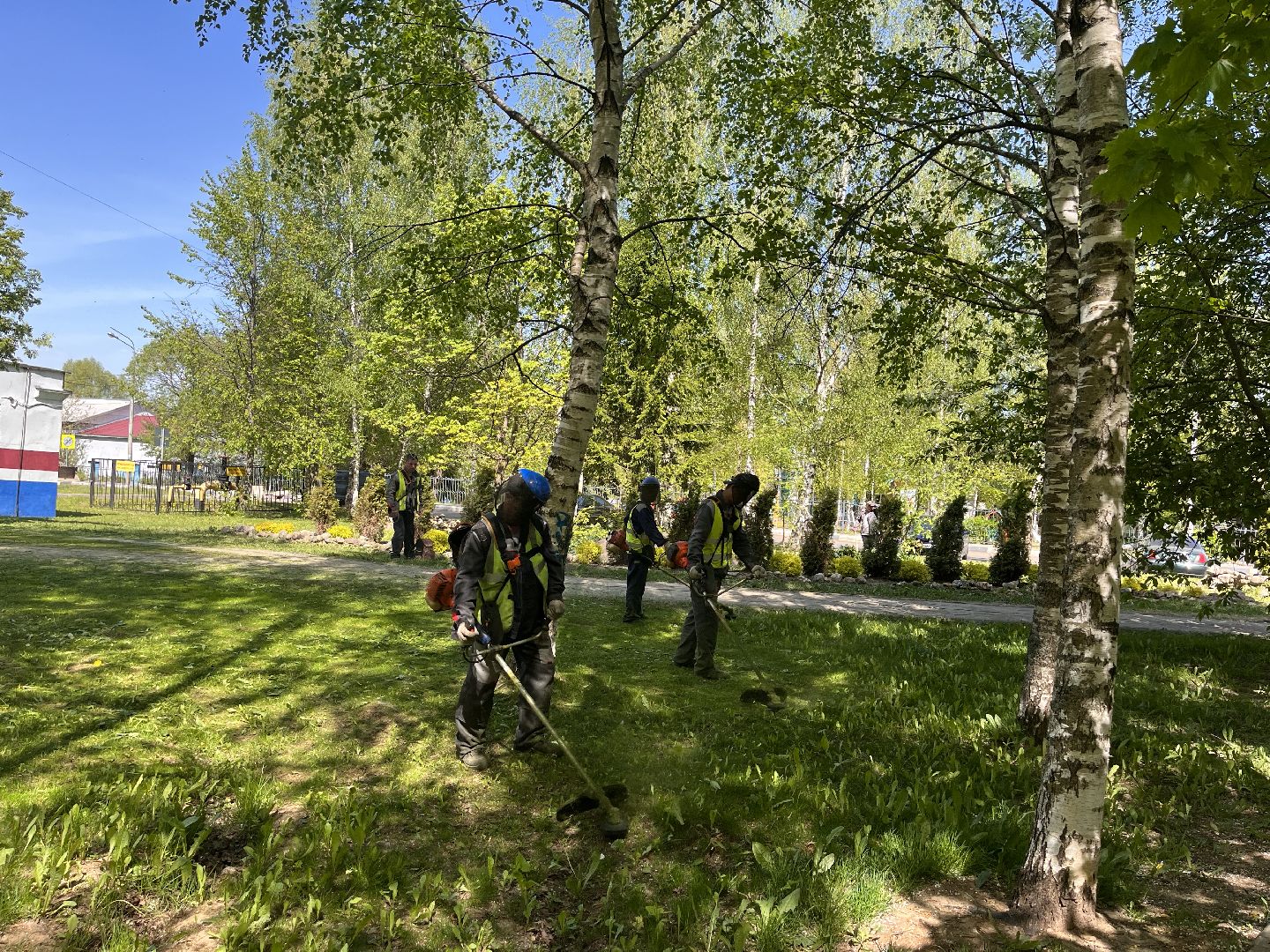 Шаховская, клумбы, покос