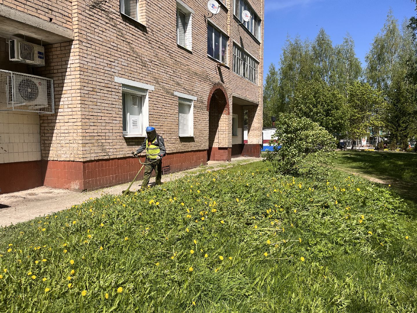 Шаховская, клумбы, покос