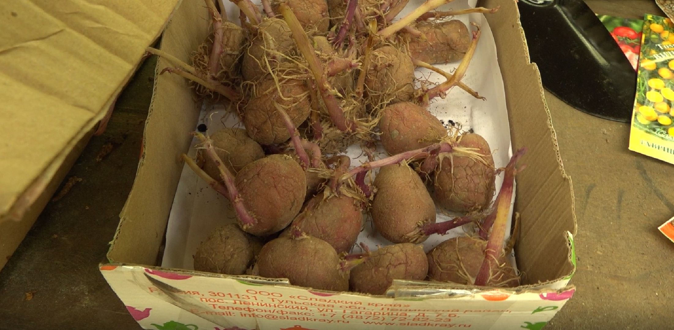 Садоводы, дармарка, Домодедово