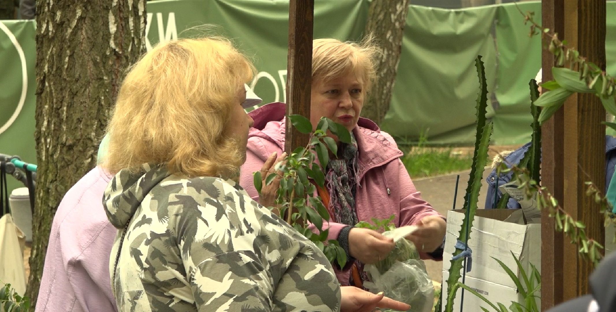 Садоводы, дармарка, Домодедово