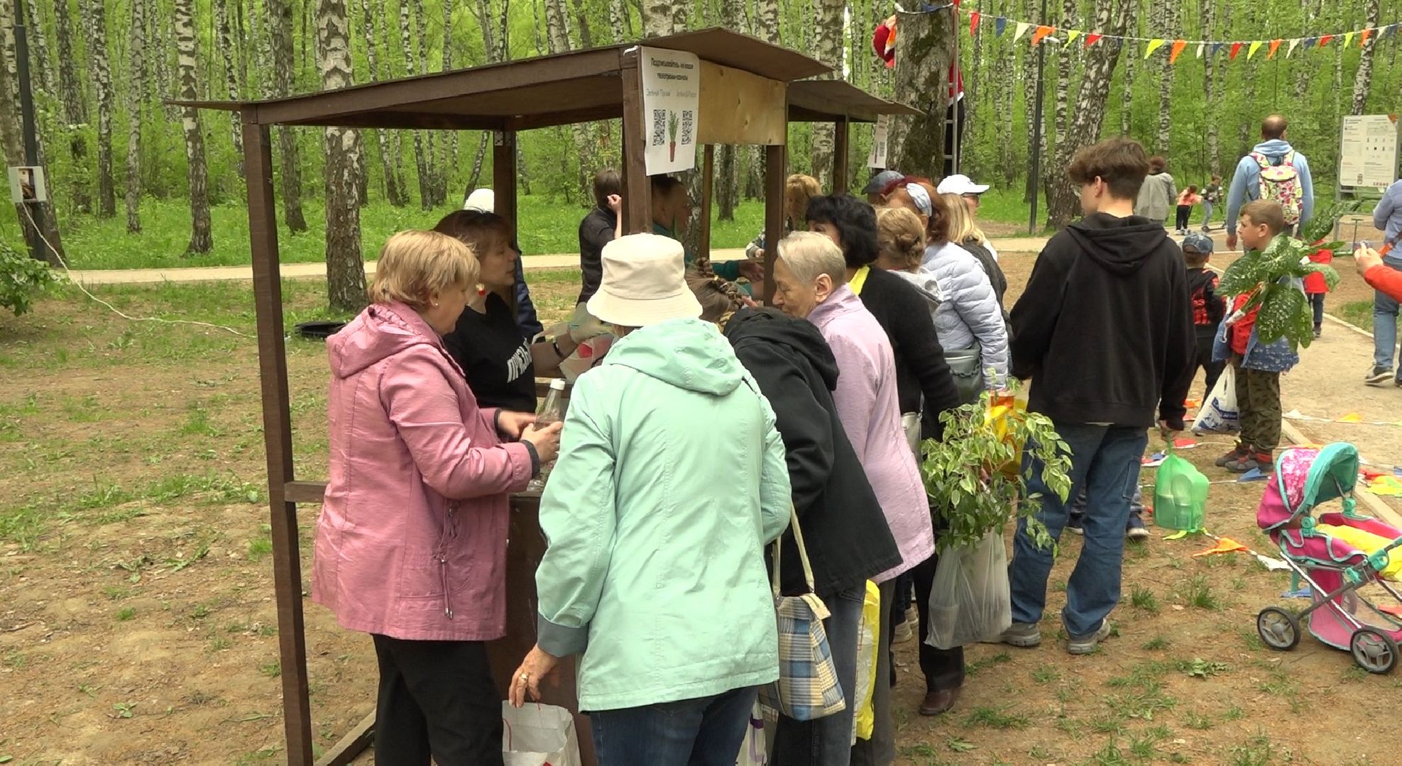Садоводы, дармарка, Домодедово