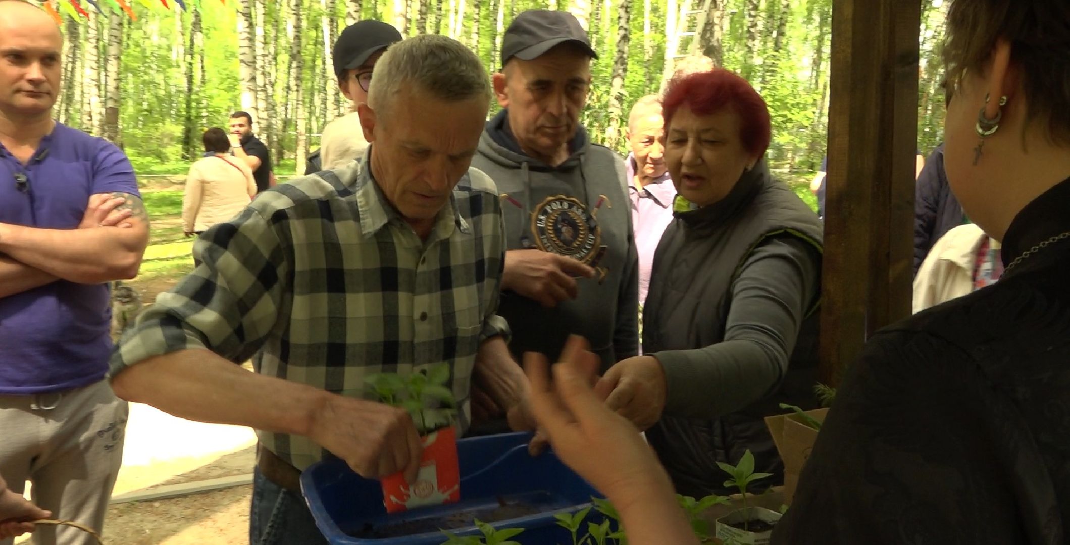 Садоводы, дармарка, Домодедово