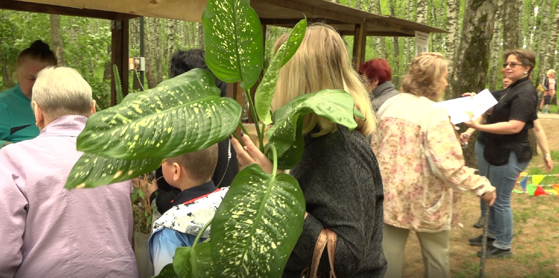 Садоводы, дармарка, Домодедово