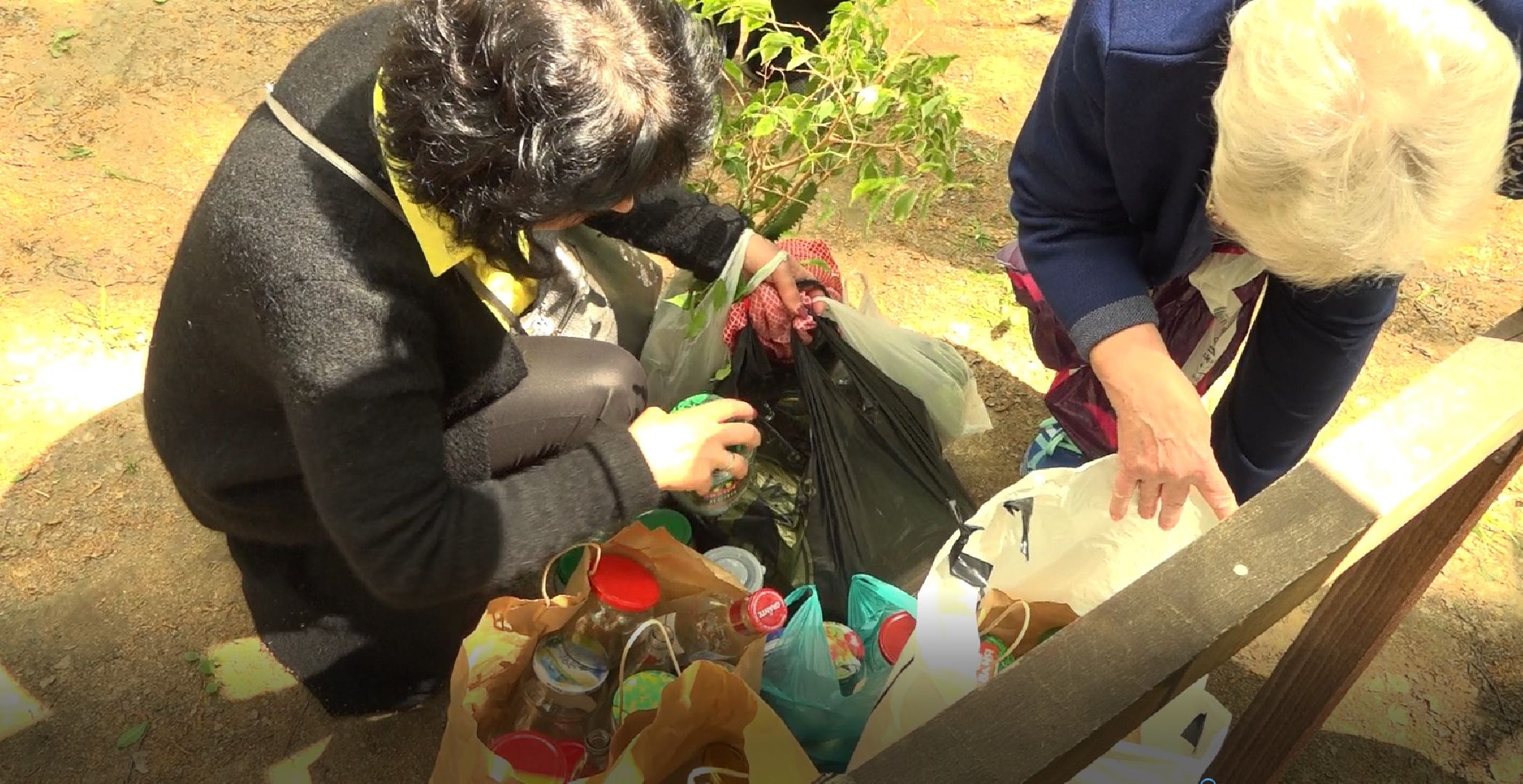 Садоводы, дармарка, Домодедово