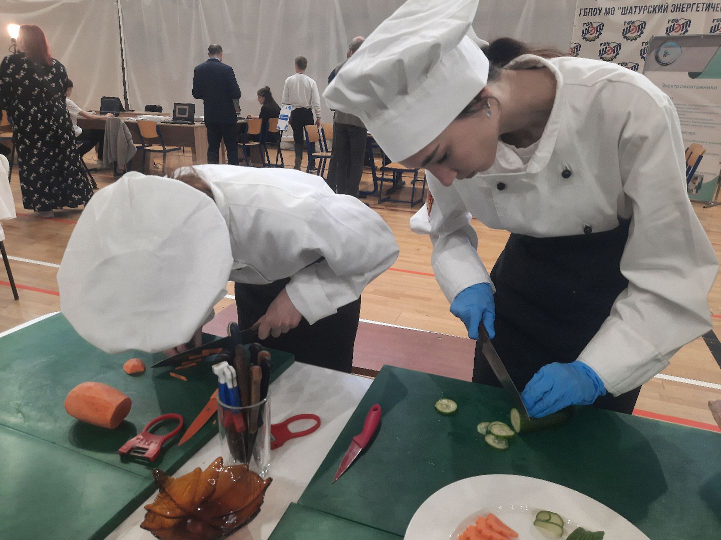 Шатура, профориентация, ЦОПП, ШЭТ, дворец спорта