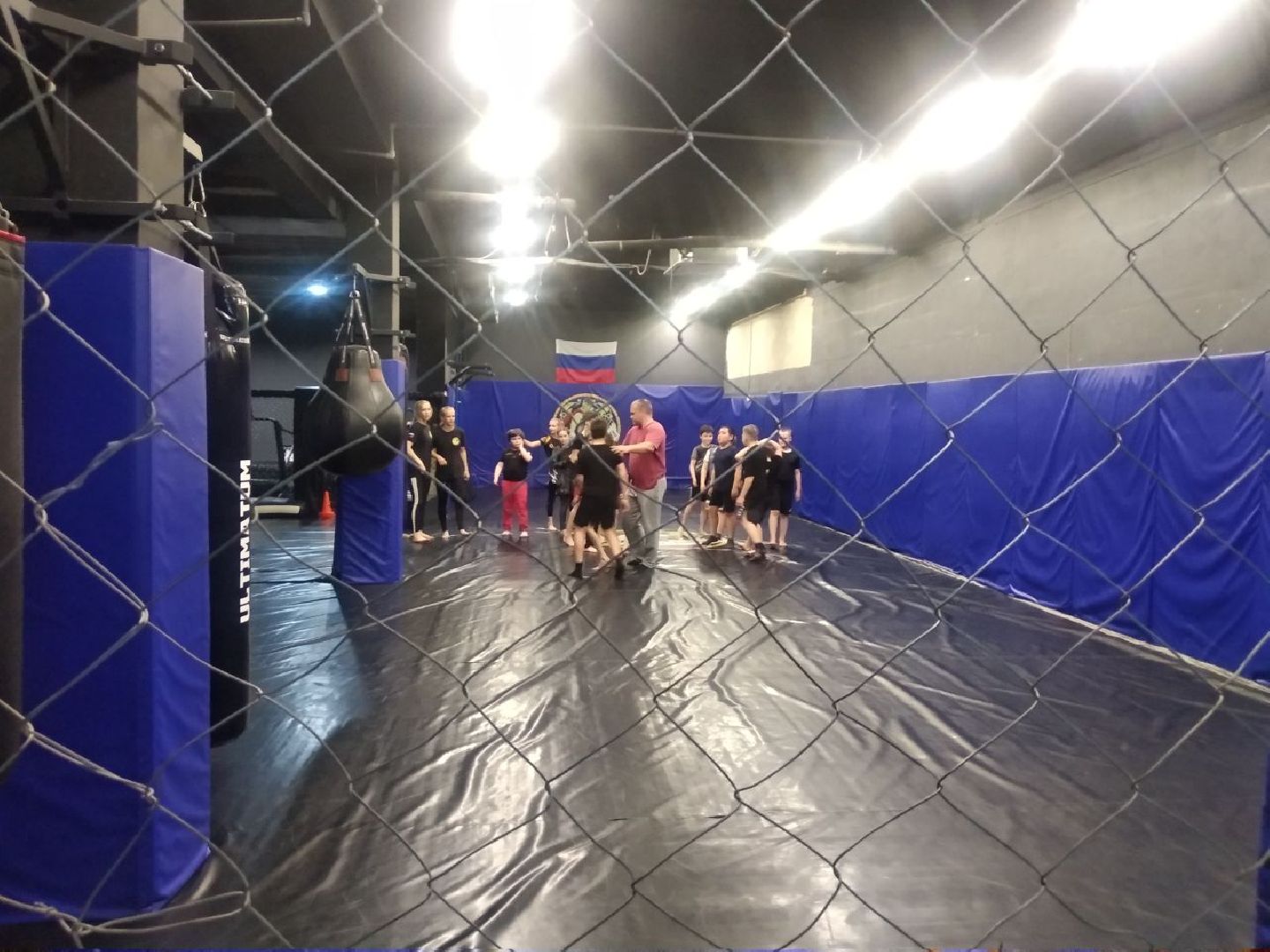 Дмитровская дружина, ММА, панкратион