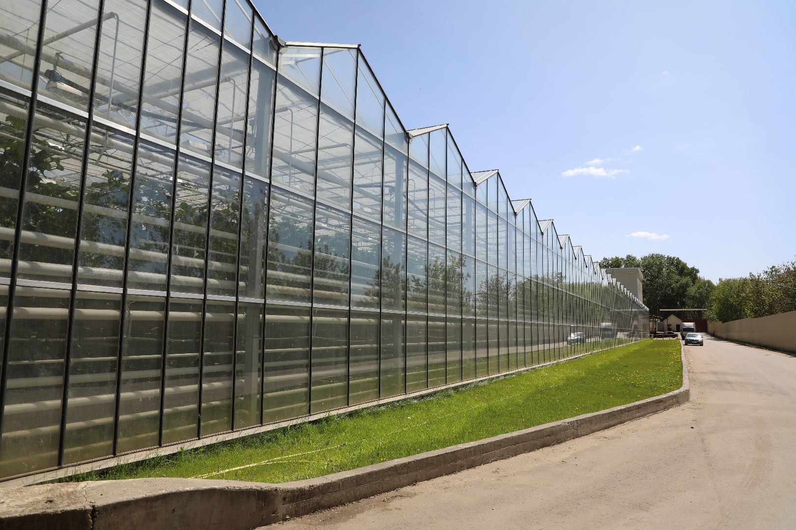 лыткарино, экономика, импортозамещение