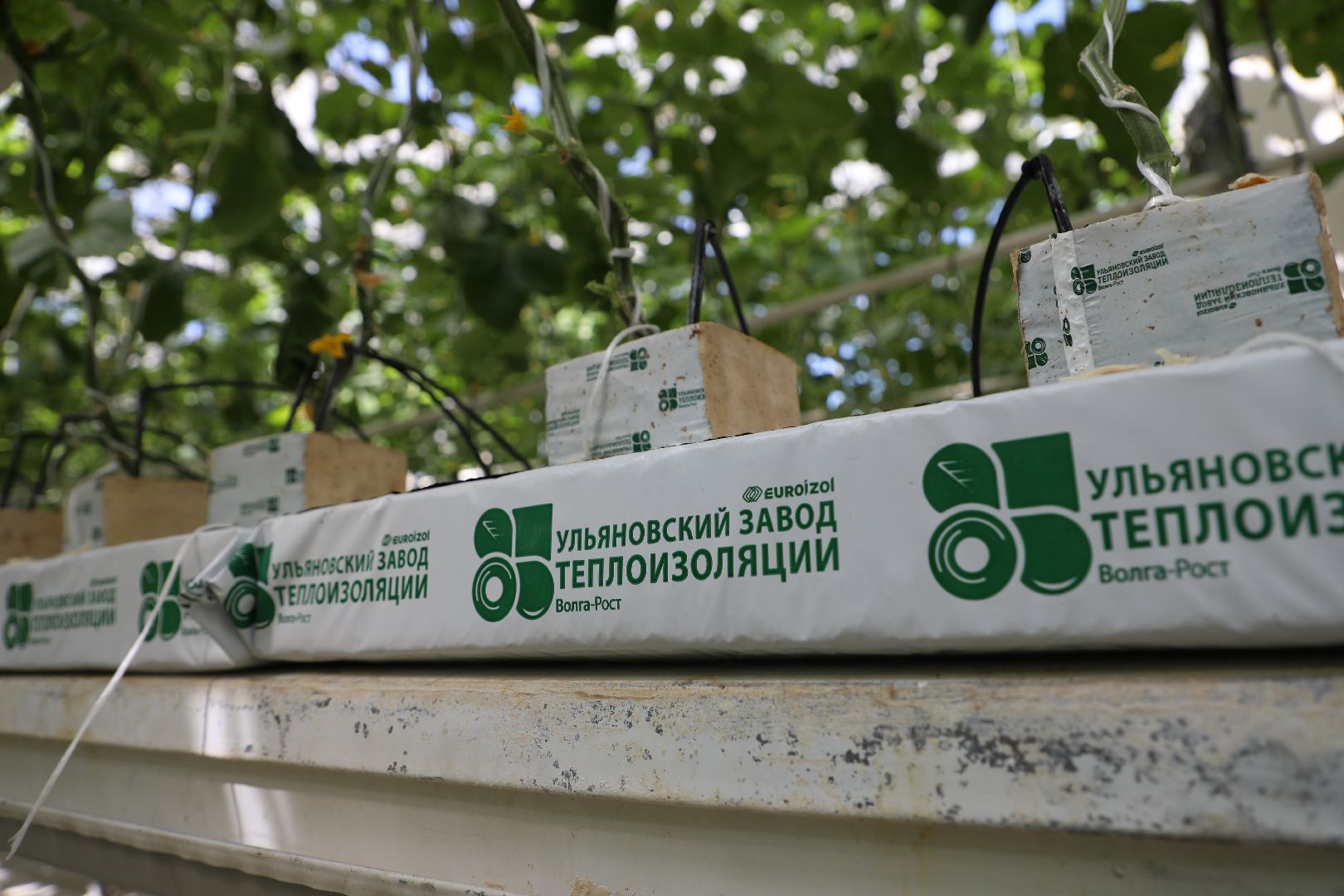 лыткарино, экономика, импортозамещение