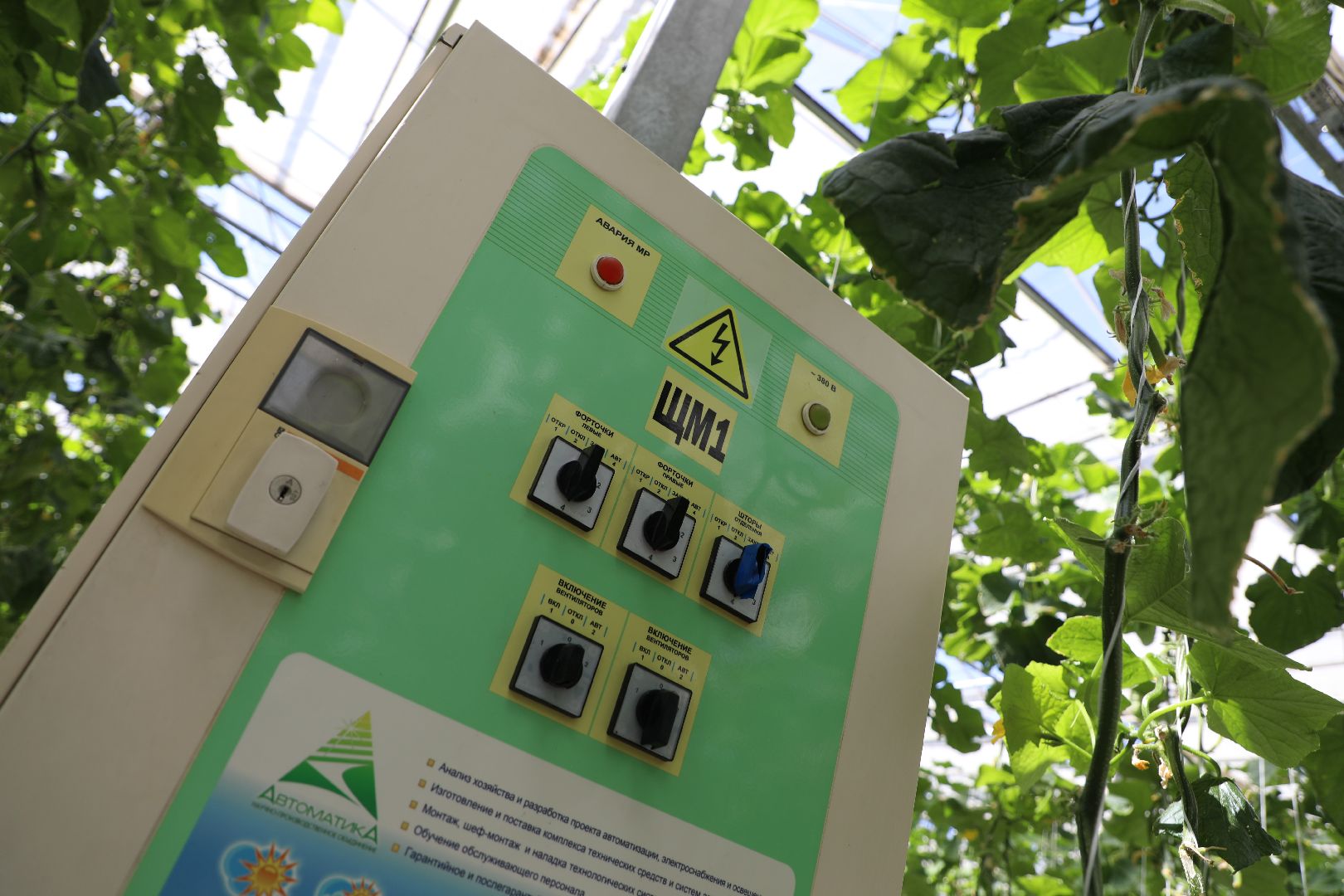 лыткарино, экономика, импортозамещение