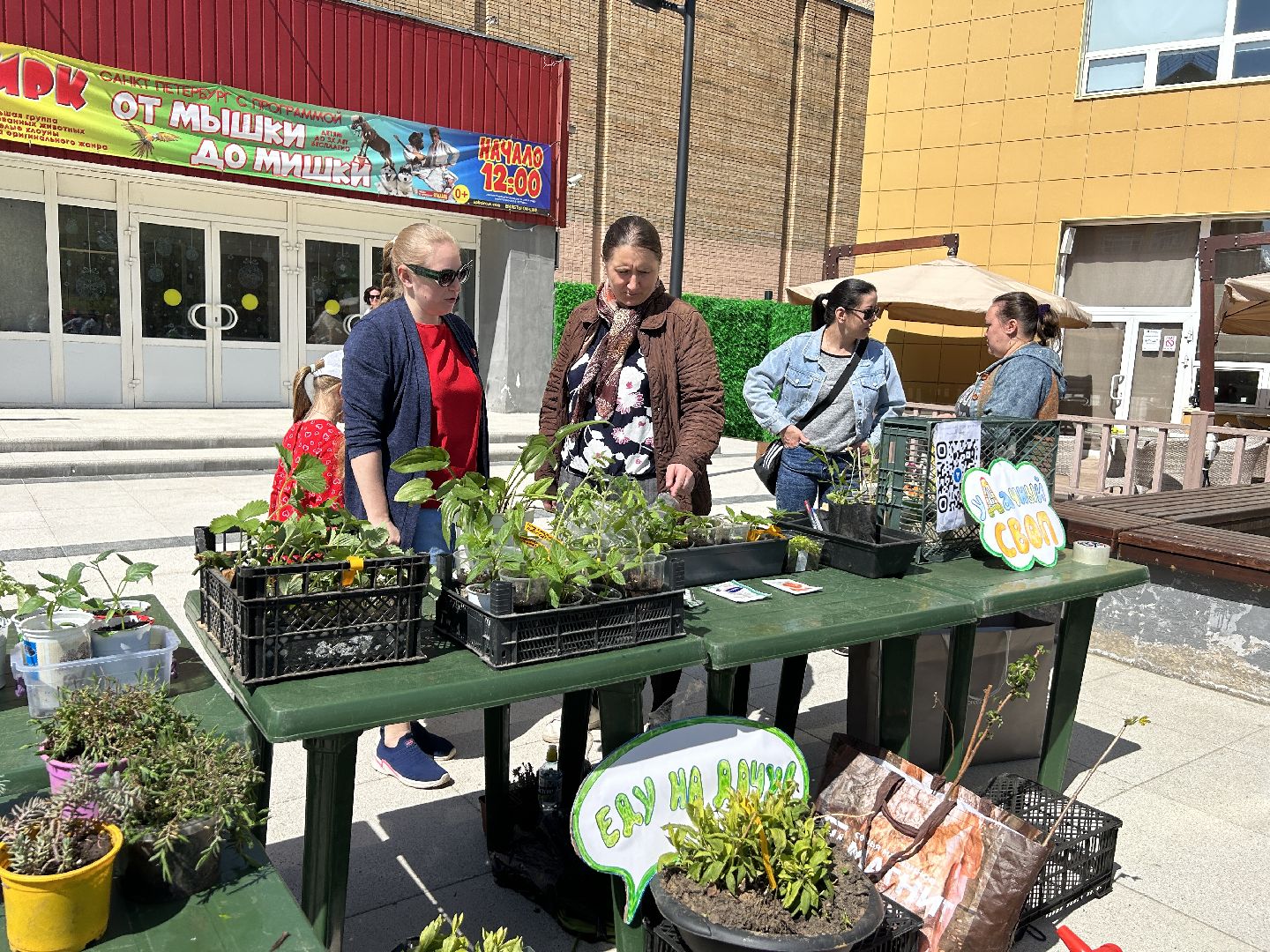 Акция, своп, растения