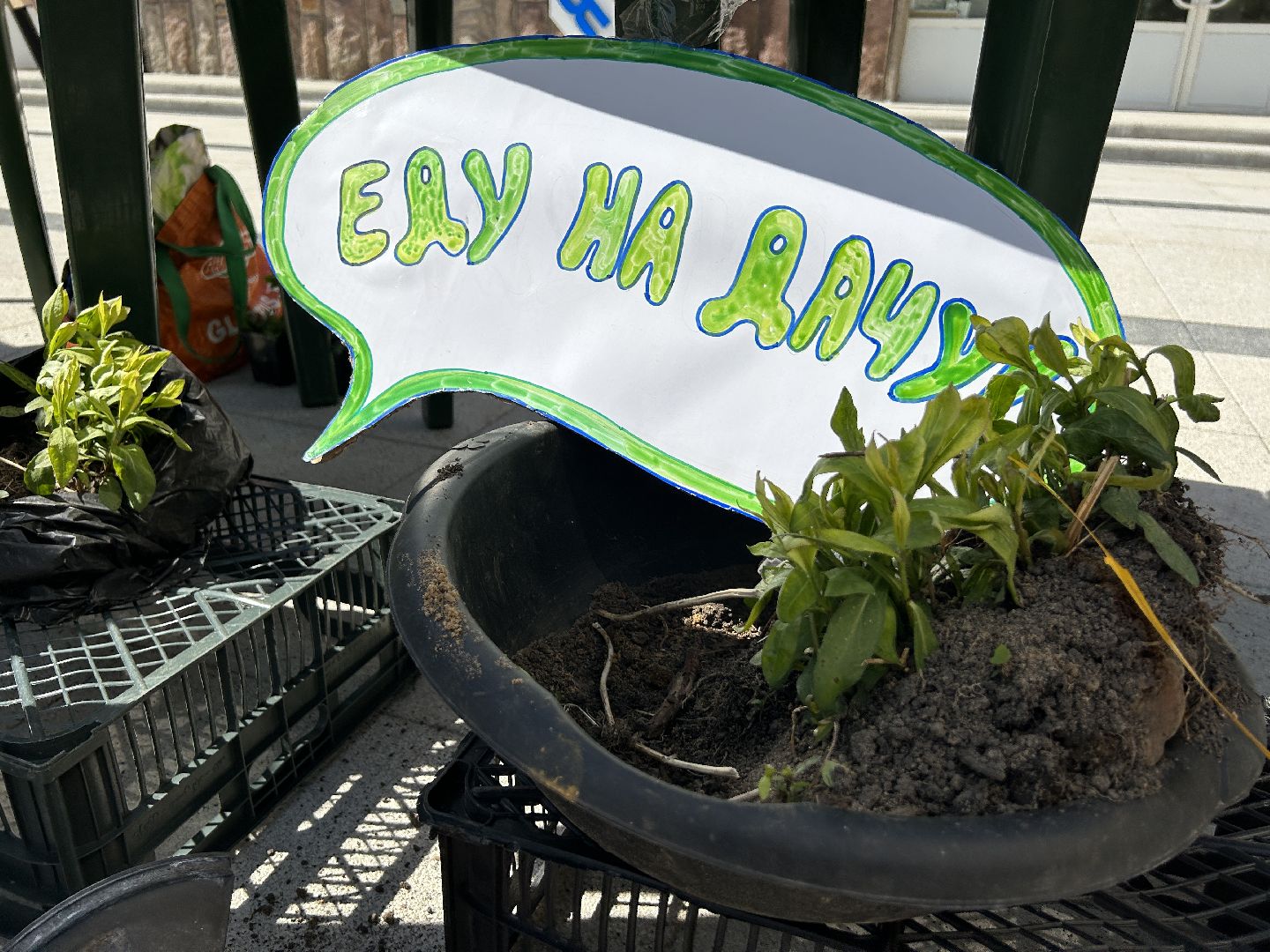 Акция, своп, растения