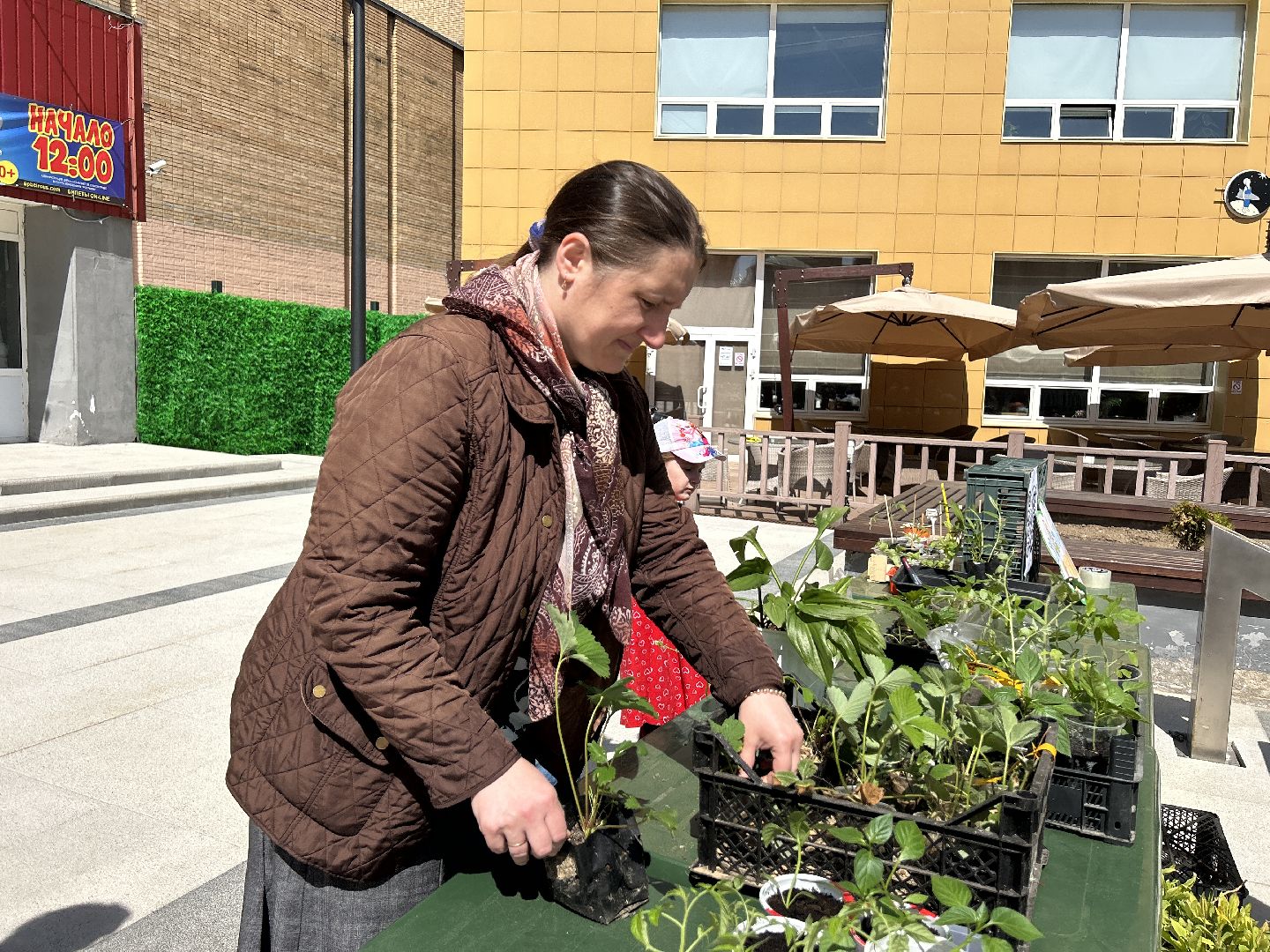 Акция, своп, растения