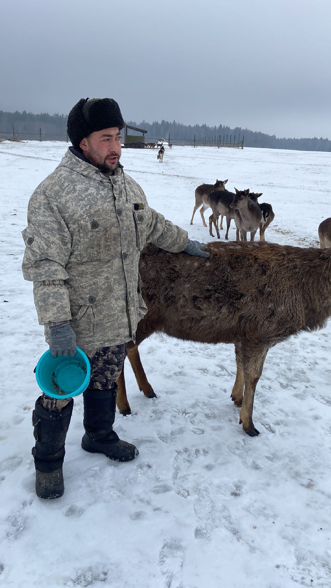 Волоколамск