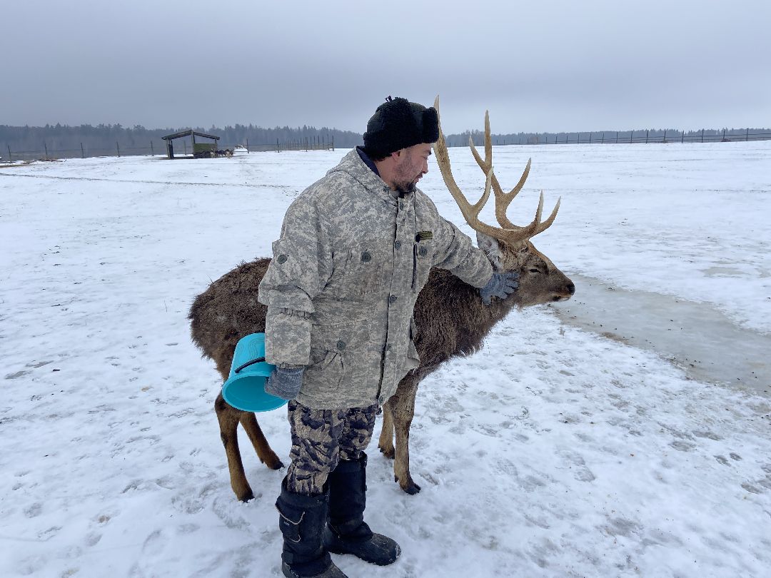Волоколамск