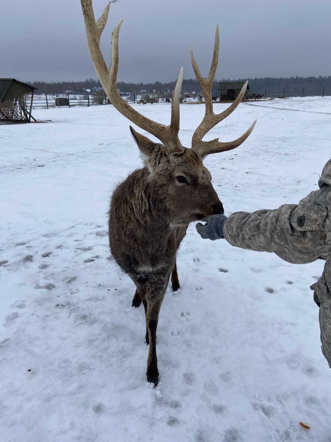 Волоколамск