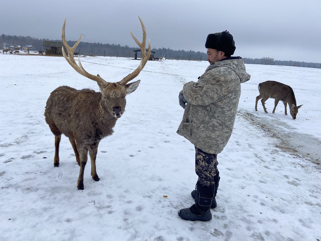 Волоколамск