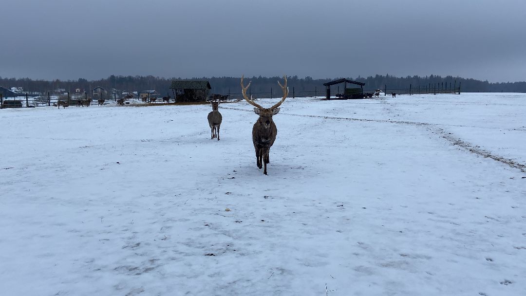 Волоколамск