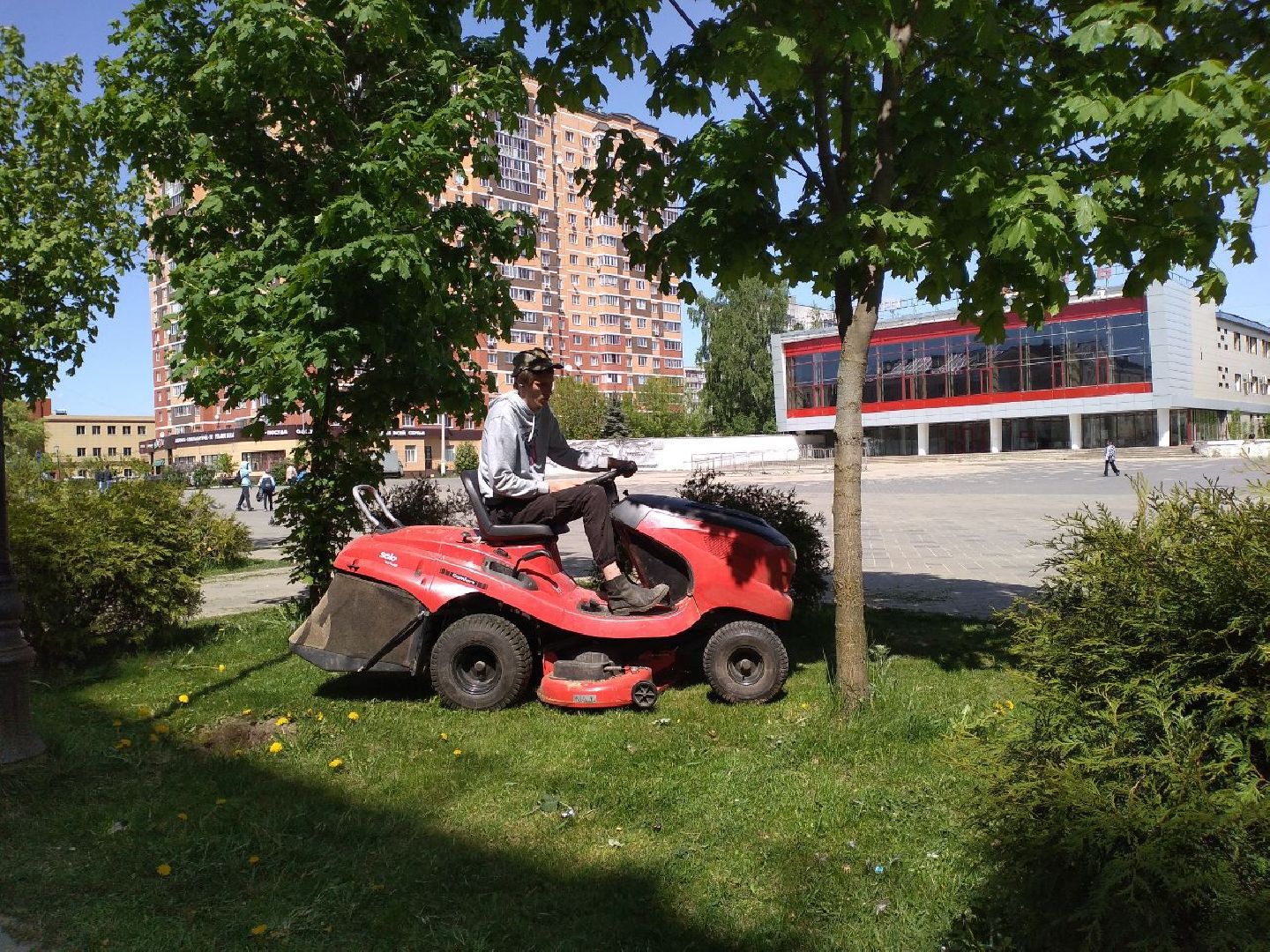 покос травы, благоустройство, Лосино-Петровский